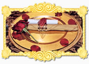 Your Civil Partnership